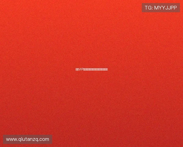 盛世VIP尊享特权,开启专属定制的奢华享受 盛世VIP尊享特权,开启专属定制的奢华享受